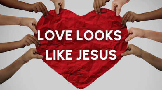 News Stories (7).png