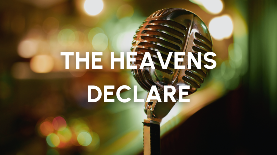 News Stories (1).png